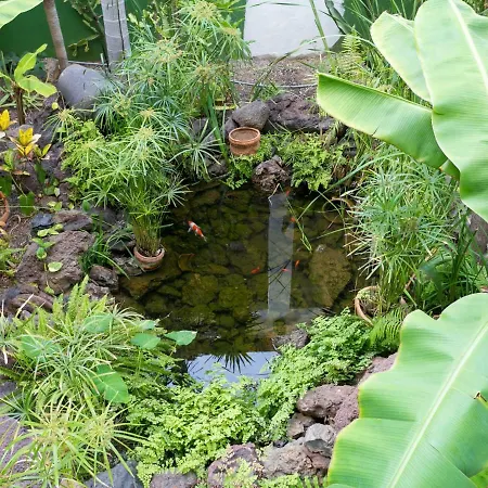 Apartmán 926 Fabulous View Of Lasamericas, Seafront Studio!