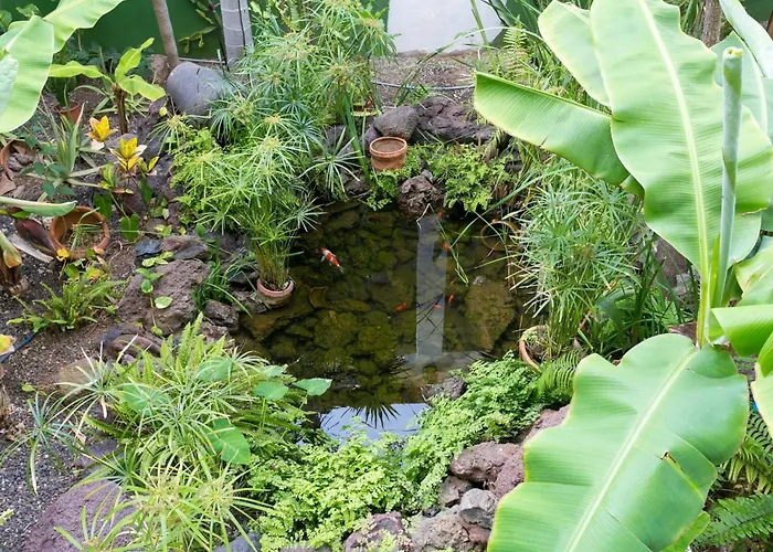 926 Fabulous View Of Lasamericas, Seafront Studio! *